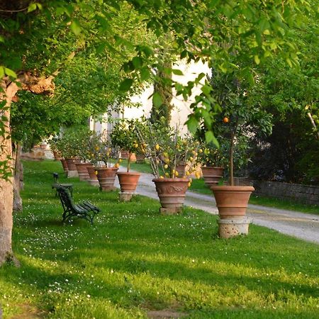 Apartament Ginestra Poggibonsi Zewnętrze zdjęcie